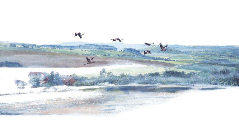 Kraniche über dem Nebel